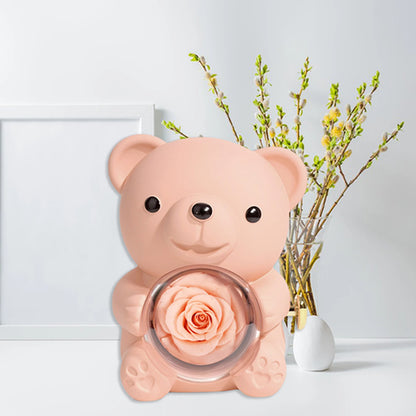 Preserved Rose Hug Bear with Preserved Flower Ring Necklace Organizer Gift Bear Shape Jewelry Box Valentine's Day Birthday Gift
