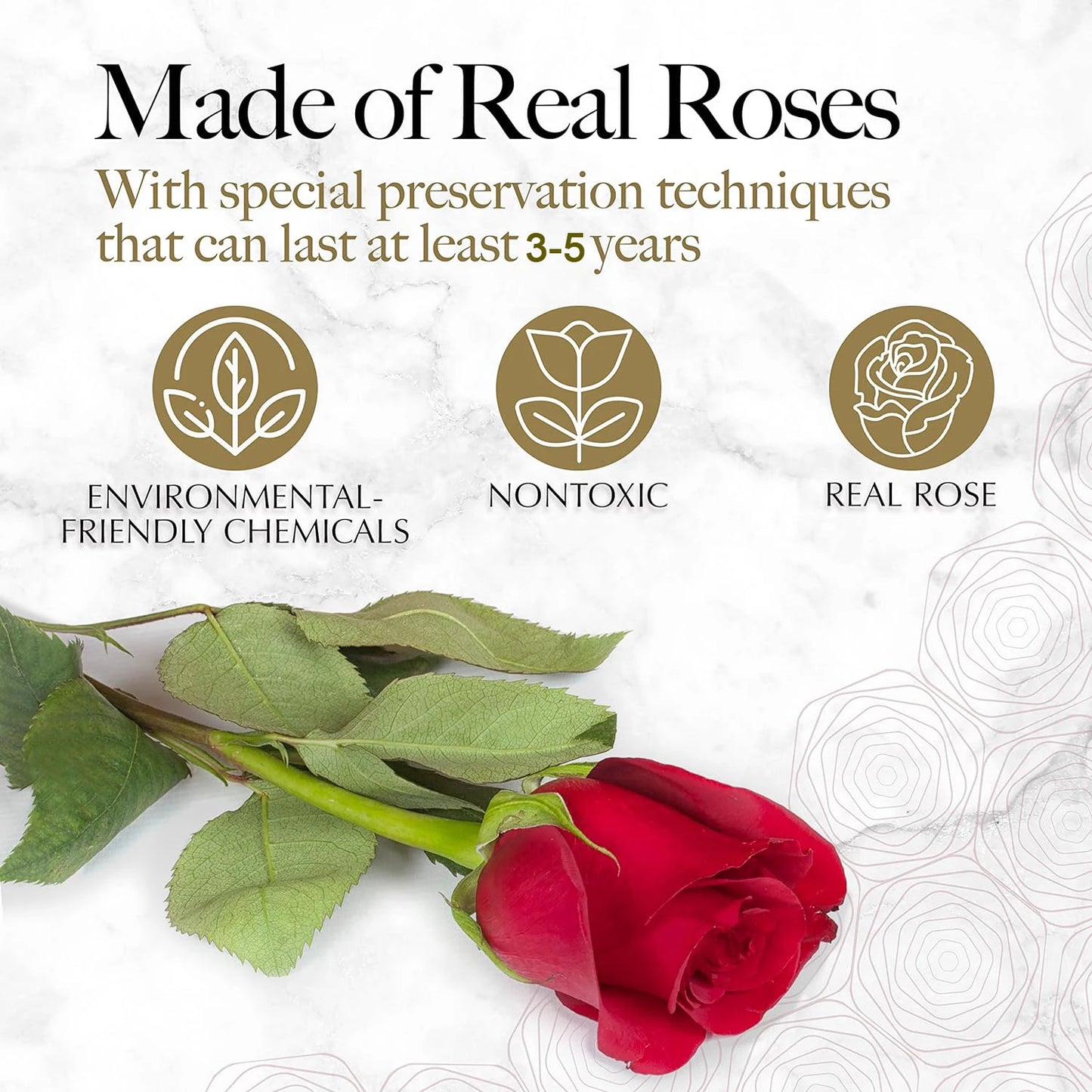 16PCS Natural Peserved Rose Eternal Forever Real Roses Heart Shape Box Immortal Flowers Mothers Valentines Day Gifts Home Decor