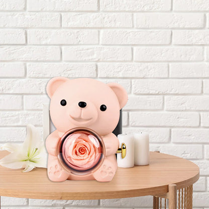 Preserved Rose Hug Bear with Preserved Flower Ring Necklace Organizer Gift Bear Shape Jewelry Box Valentine's Day Birthday Gift