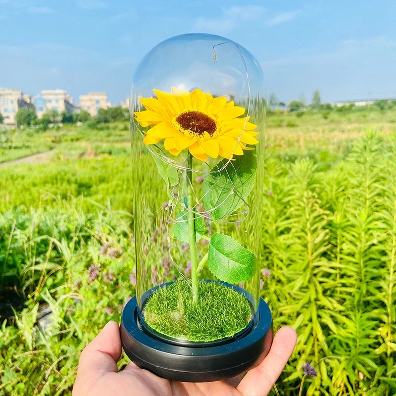 Artificial Eternal Rose Flowers LED Light Foil Flower in Plastic Cover Birthday Valentine's Day Gifts Wedding Party Supplies